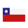 Pesos Chileno